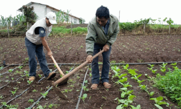 Enfocará Sagarpa presupuesto de 2017 en pequeños productores