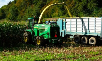 Piden productores de maíz consultas públicas sobre TLCAN