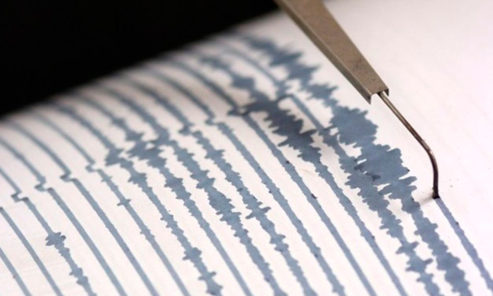 Suman 590 réplicas por sismo magnitud  7.2 