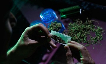 Fija Corte jurisprudencia por mariguana