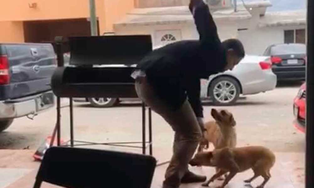 Video: Hombre apuñala a perro en Piedras Negras; alistan denuncia
