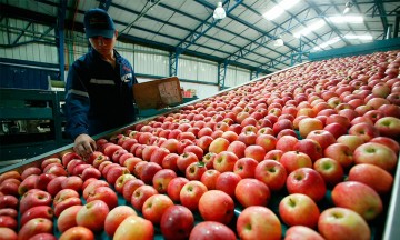 Eliminar&aacute;n aranceles a productos de EU