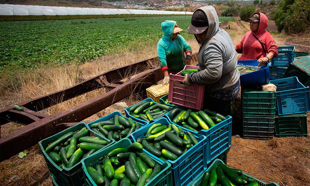 México aumentará sus compras de productos agrícolas