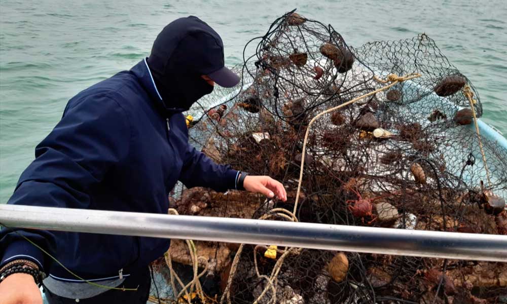 Retienen 138 mil kilogramos de pesca ilegal en México