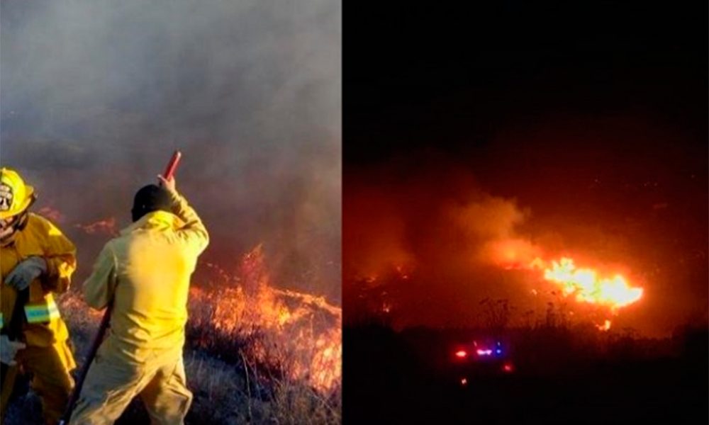 Incendios forestales arrasan con municipios en Baja California