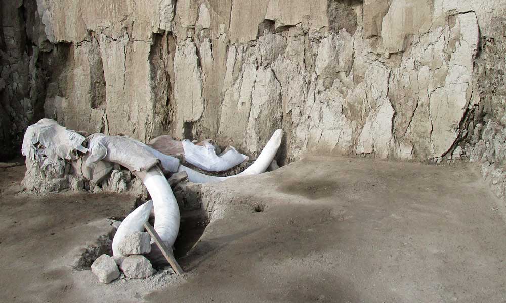 Seguirán obras en Santa Lucía pese a hallazgo de mamuts