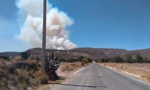 Aumenta a 77 el número de incendios forestales en 20 estados