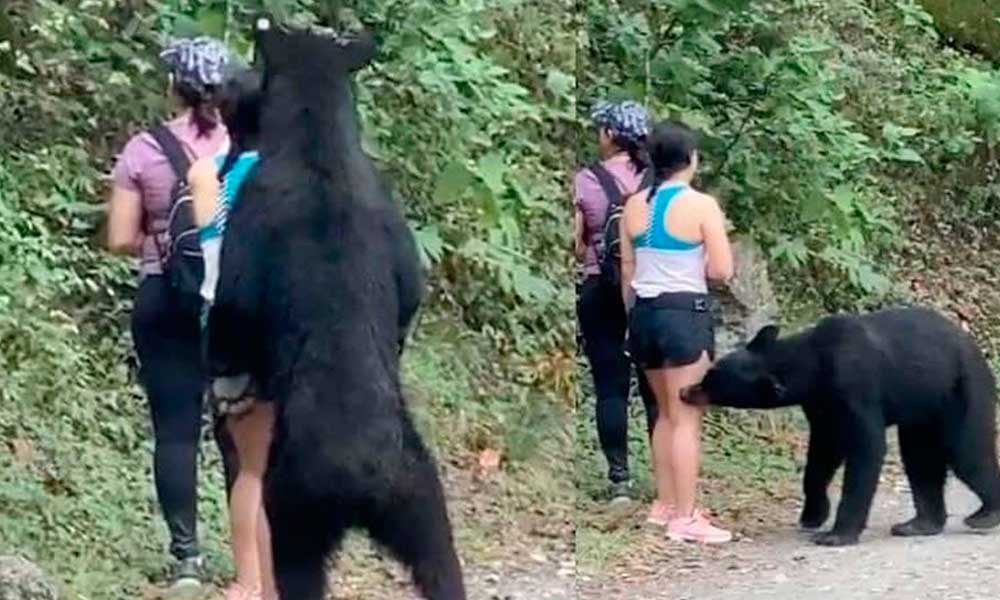 La historia detrás de la selfie con el oso negro
