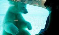 La Nueva Normalidad: Zoo de Guadalajara reabre tras cuatro meses en cuarentena