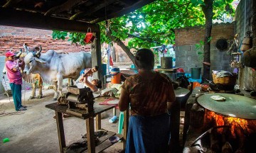 México sólo da muestras de un progreso simbólico y rezago histórico a pueblos indígenas