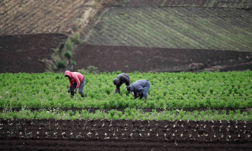 México, EE.UU. y Canadá apuestan por comercio agrícola durante  pandemia