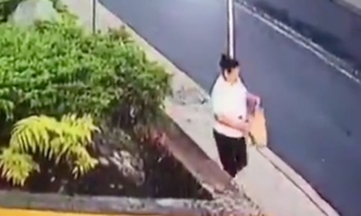 Vídeo: Mujer abandona a un perrito en gasolinera de CDMX 