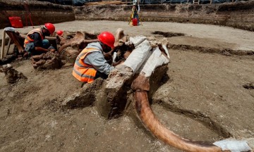 El importante hallazgo de mamuts en las obras de futuro aeropuerto de de Santa Lucía