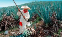 Nueva Zelanda reconoce el tequila mexicano como marca registrada