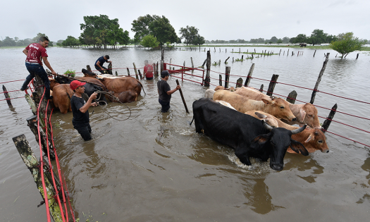 Lluvias y desfogue de presa deja un muerto y casi 600 mil afectados 