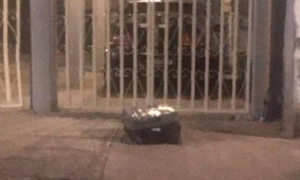 Detienen a jóvenes por abandonar restos humanos en CDMX
