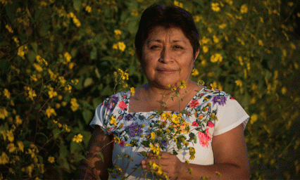 La "guardiana de las abejas" Leydy Pech, gana la batalla a Monsanto 