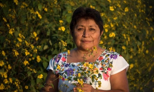 La “guardiana de las abejas” reivindica la forma de vivir indígena