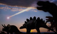 Meteorito no extinguió a dinosaurios, dice hipótesis del IPN