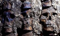 Cráneos, Descubrimiento, Huei Tzompantli, Ciudad de México, 