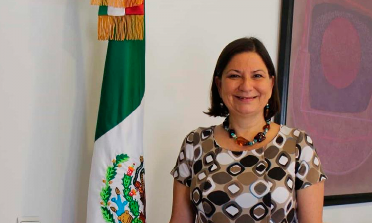 La embajadora de México en EU anuncia su jubilación anticipada