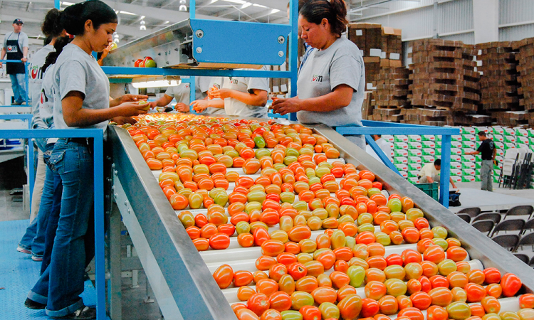 El superávit agroalimentario de México supera los 10 mil millones de dólares
