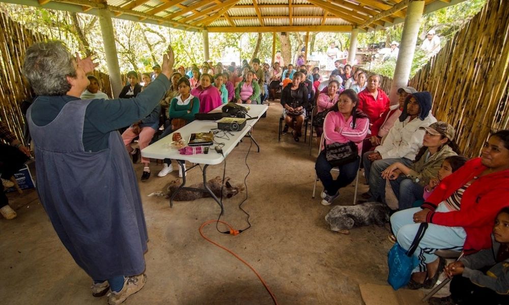  Veo a un México lastimado: La guardiana ambiental de la Sierra Gorda 
