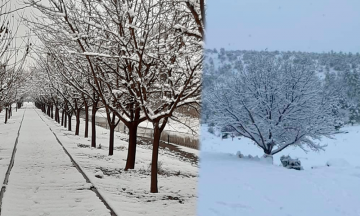 Chihuahua se pinta de blanco por bajas temperaturas 