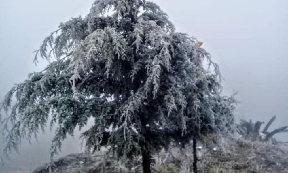  Frente frío 24 mantendrá ambiente gélido con heladas matutinas, cielo despejado en la mañana y medio nublado en la tard