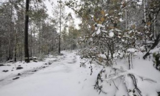 La sexta tormenta invernal y dos frentes fríos amenazan al noroeste de México 