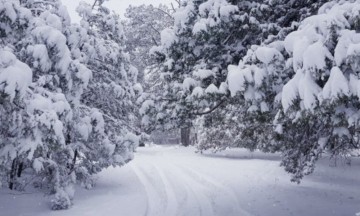 Sexta tormenta invernal y frente frío 30 dejarán ambiente de frío a muy frío y lluvias aisladas sobre el norte y noreste