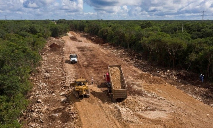Otorgan suspensión provisional del Tren Maya en Yucatán