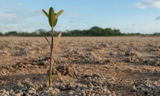 México y Estados Unidos sumarán esfuerzos para mejorar sector agroalimentario