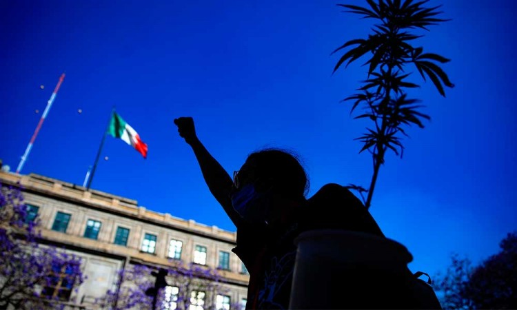 Activistas de marihuana presionan al Congreso mexicano previo a la votación del dictamen que regule su uso recreativo