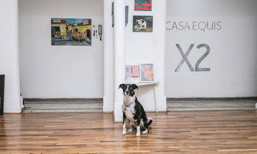 Casa Equis, una galería sin pretensiones que alberga arte emergente en México