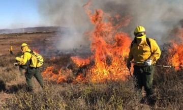 Van 55 incendios forestales activos en México;  dañan 30.454 hectáreas