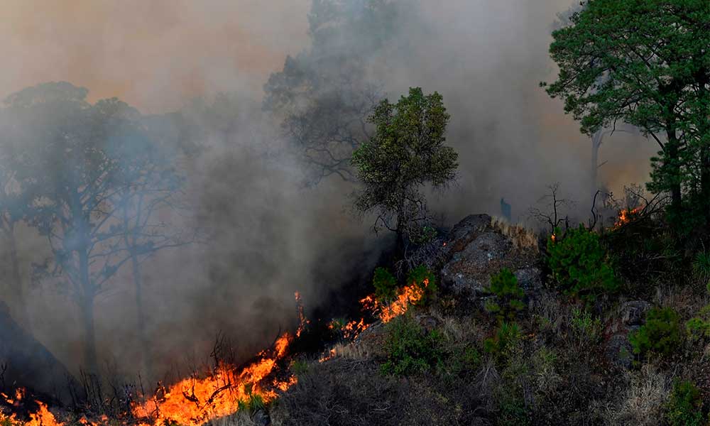 Incendio forestal en El Tepozteco, hasta ahora el más grande de México