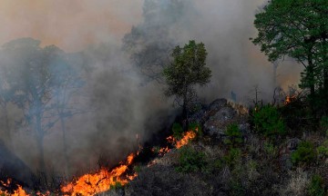 Incendio forestal en El Tepozteco, hasta ahora el más grande de México