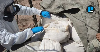 Operativos de inteligencia naval permitieron a Semar y FGR desmantelar tres laboratorios clandestinos en Sinaloa, con un decomiso superior a cuatro toneladas de metanfetamina.