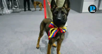 Laica, el regalo de Venezuela al Ej&eacute;rcito Mexicano por su solidaridad
