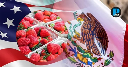 EU castiga a la fresa mexicana con cuotas de hasta 5.28 por ciento