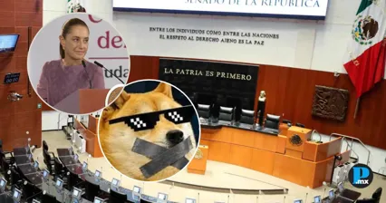 Senado aprueba Ley Antimemes entre cr&iacute;ticas por libertad de expresi&oacute;n
