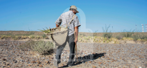 Enfrenta campo sequía de apoyos