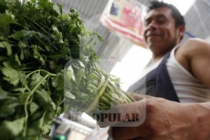 Provoca pérdidas millonarias veto de cilantro