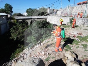Realizan jornadas de fumigación
