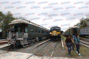 Gana Gallo Tren Turístico con 50 millones de pesos