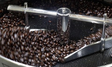 Acaba la roya con hasta 60% del café poblano