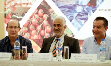 Va Sagarpa Puebla contra plaga roya en plantas de café