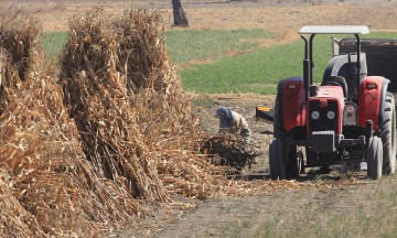 Registra Puebla lento crecimiento económico: Inegi