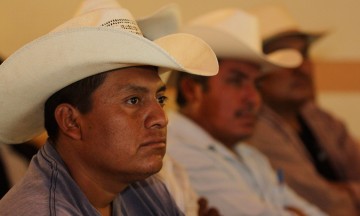 Incumple SHCP a productores agropecuarios